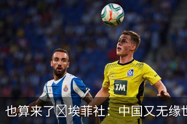 也算来了😅埃菲社：中国又无缘世界杯，但中国企业深度参与其中